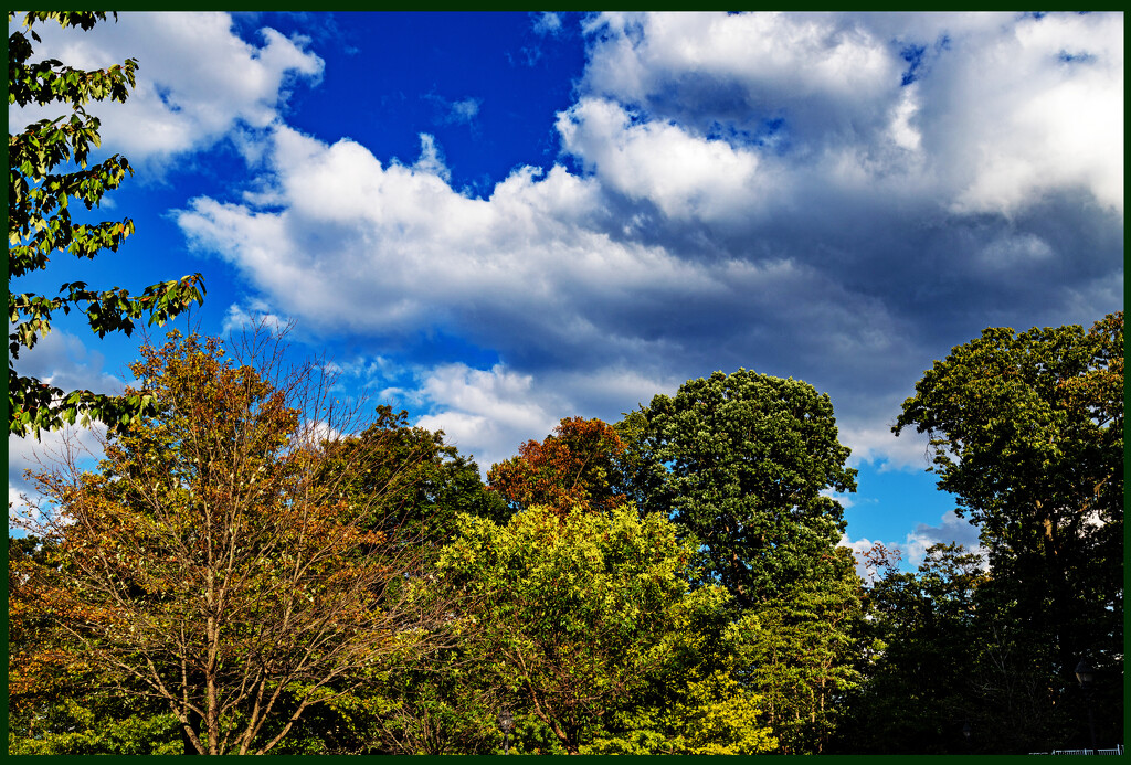Early Fall – Leaves are starting to Change by hjbenson