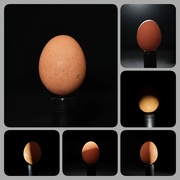 28th Sep 2022 - eggs