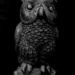 SOOC 27 - Wise Owl