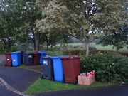 26th Sep 2022 - Ready for bin day...