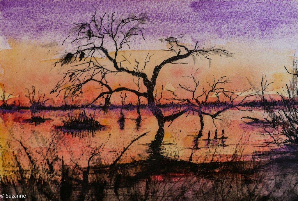 Winton Wetlands Watercolour by ankers70