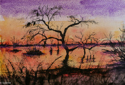 29th Sep 2022 - Winton Wetlands Watercolour