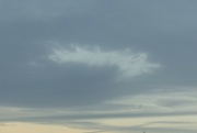 25th Sep 2022 - Fallstreak cloud