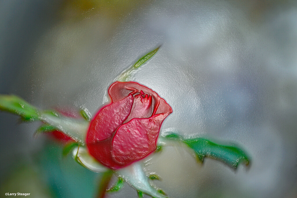 Red rose bud artistic by larrysphotos