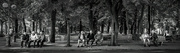 18th Sep 2022 - 3 x 3: Men on Benches