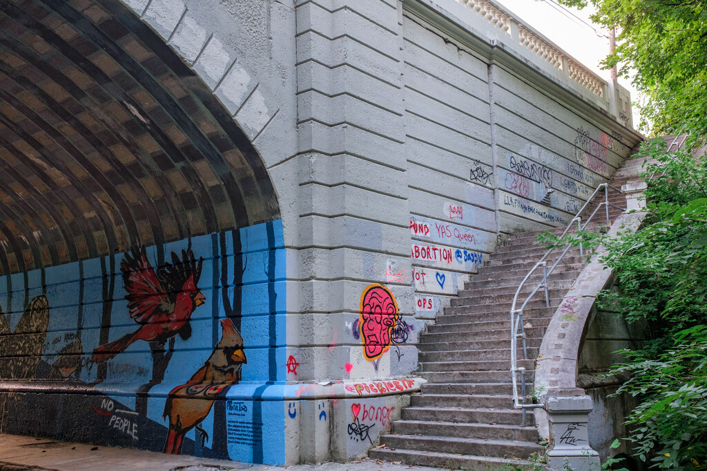 Bird Tunnel Graffiti by johnmaguire