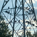 Vultures by ingrid01