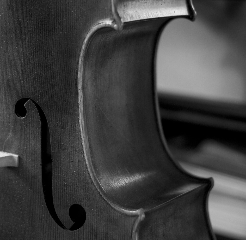 C is for Cello  by epcello