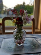 29th Sep 2022 - Flowers on the table 