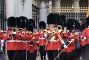 24th Aug 2022 - Changing  of the guard