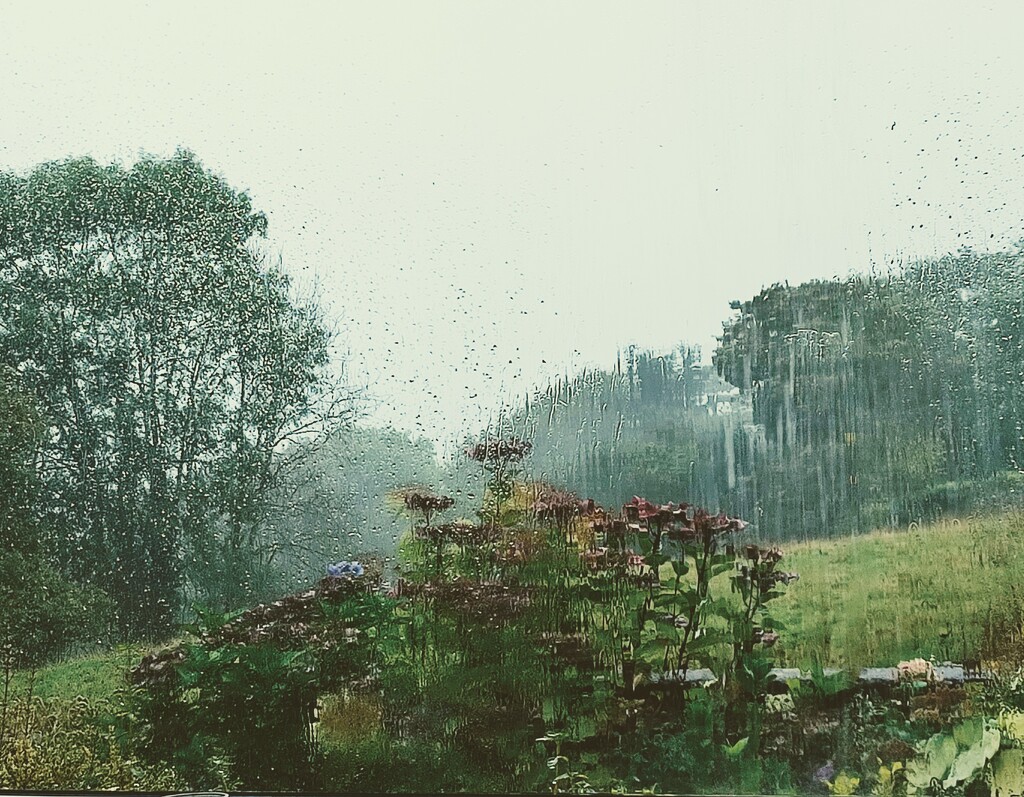 Rain, Rain and more Rain  by countrylassie