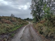27th Sep 2022 - Wet and windy walk