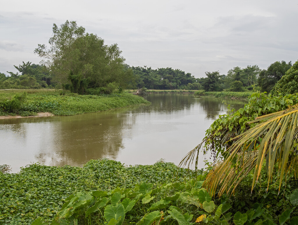 Sungai Perai at Air Hitam Dalam by ianjb21