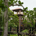 Tower for Tree Top Walkway