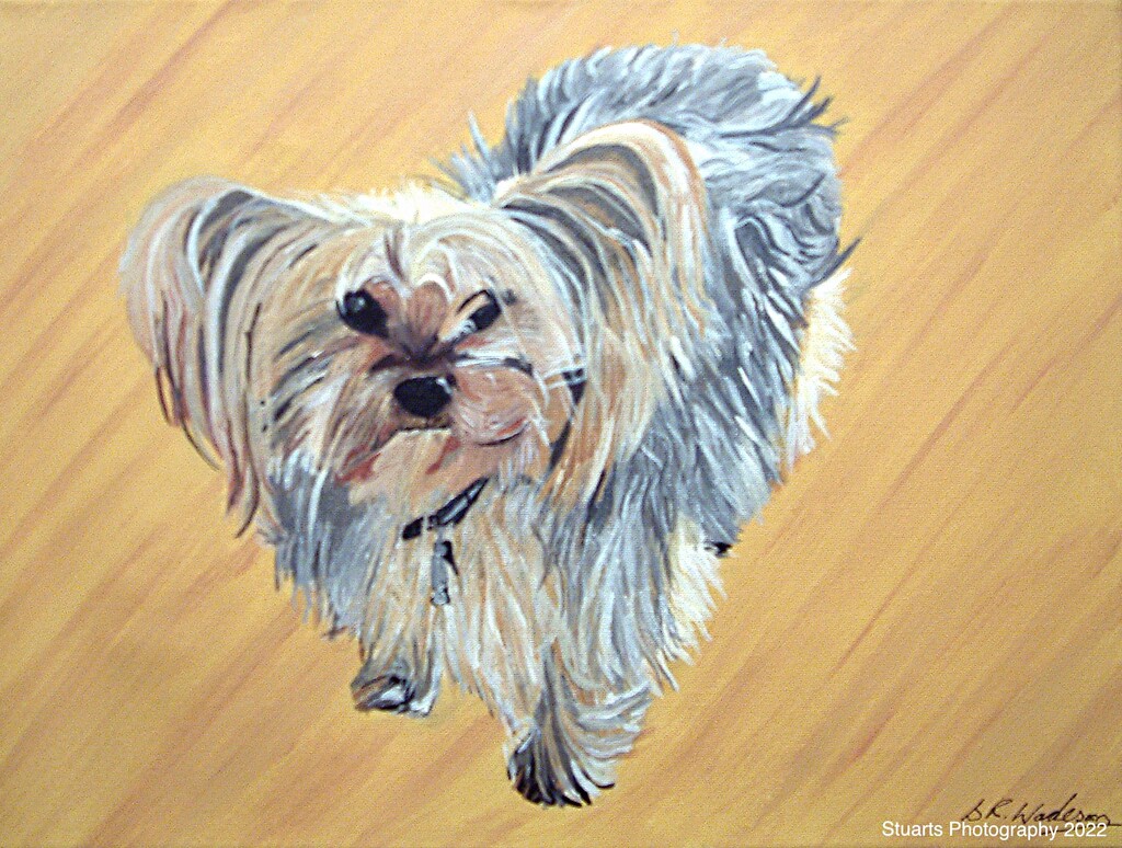 Rosie the dog painting  by stuart46