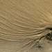Sand trails 