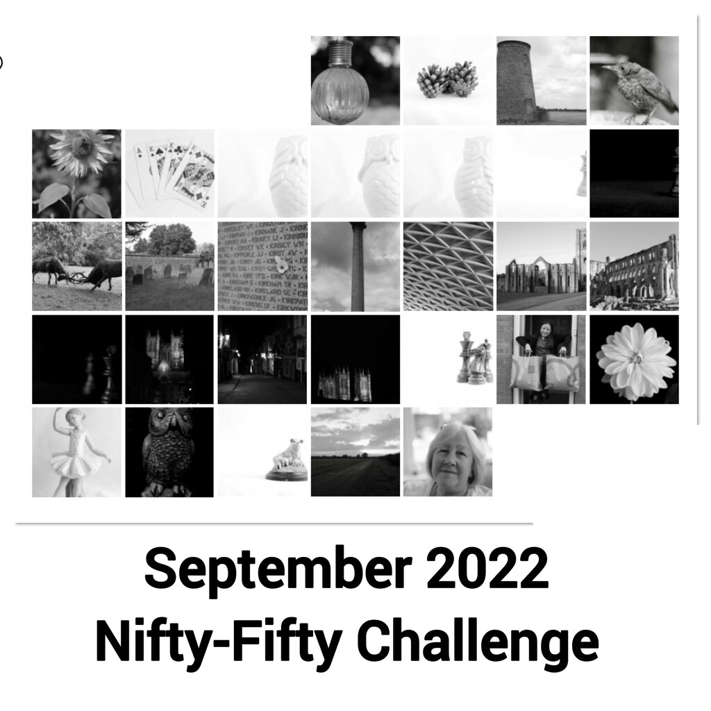 Nifty Fifty Challenge September 2022 by phil_sandford