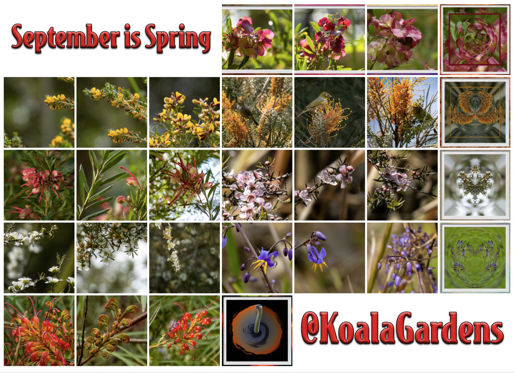 capturing spring by koalagardens