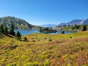 25th Sep 2022 - Alpine Meadow