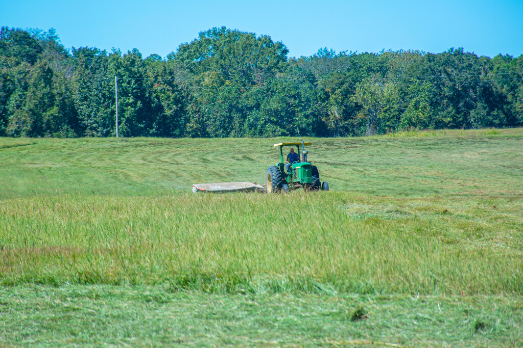 Time to cut hay... by thewatersphotos
