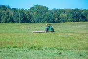 1st Oct 2022 - Time to cut hay...