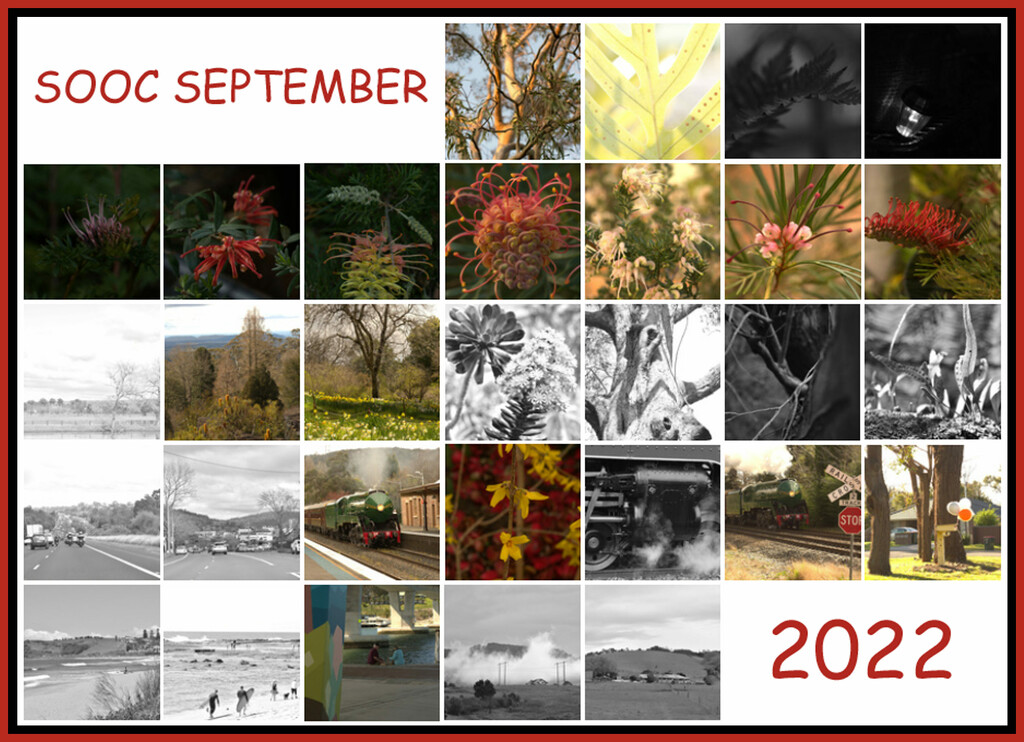 SOOC September Collage by annied