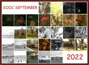 30th Sep 2022 - SOOC September Collage