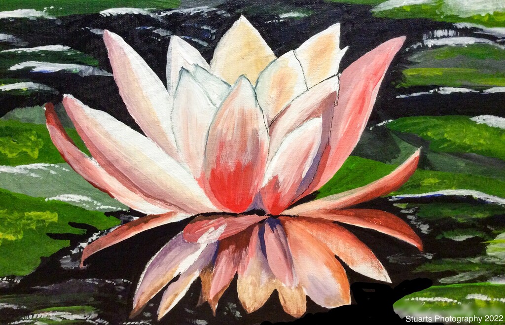 Waterlily painting  by stuart46