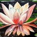 Waterlily painting 