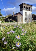 1st Oct 2022 - Michaelmas daisies and Coppermill Pump House 