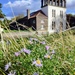 Michaelmas daisies and Coppermill Pump House 