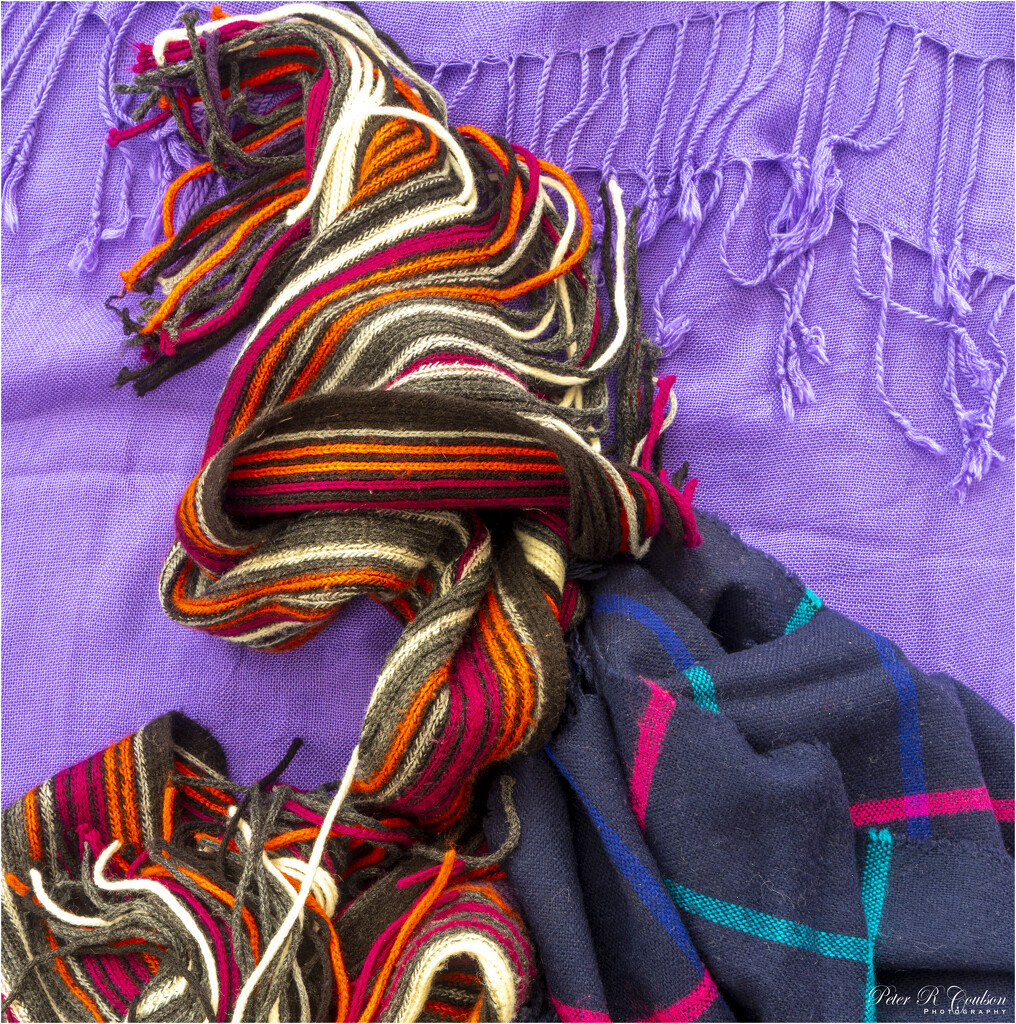 Scarves by pcoulson