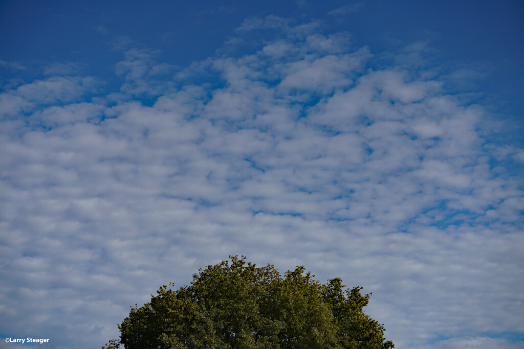 October sky by larrysphotos