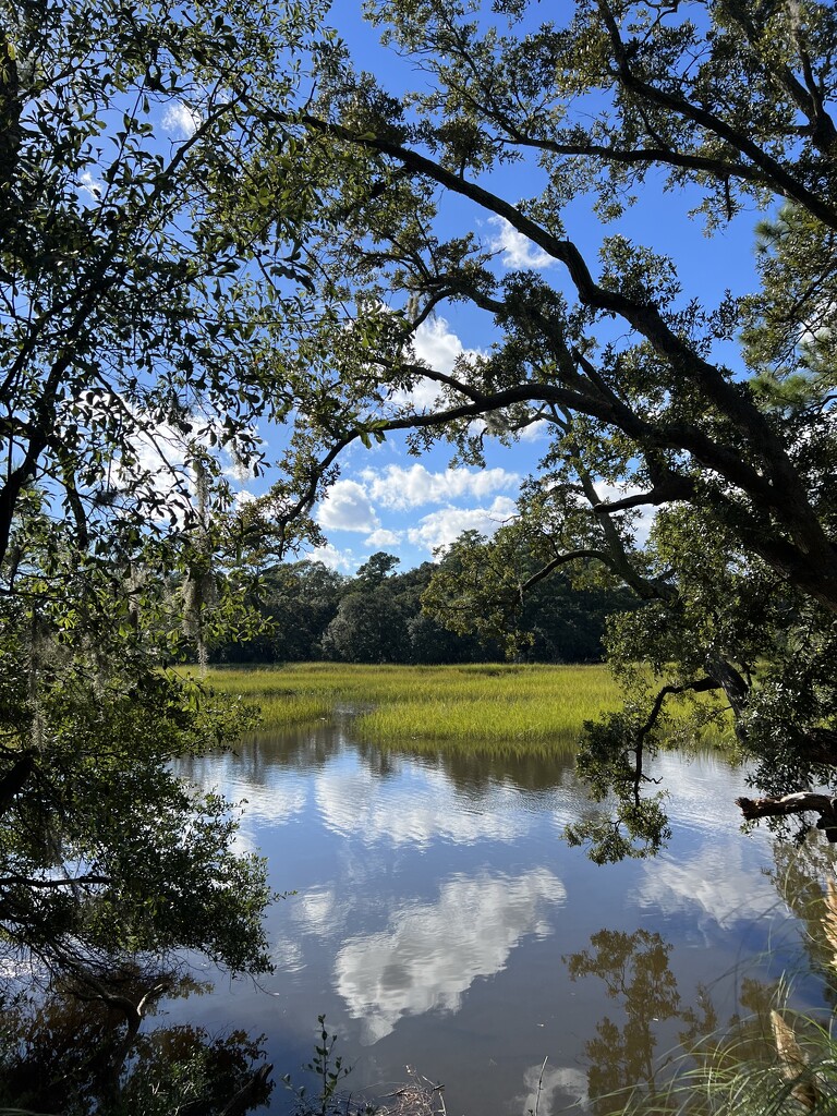 Mid-afternoon marsh scene  by congaree
