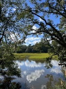 2nd Oct 2022 - Mid-afternoon marsh scene 