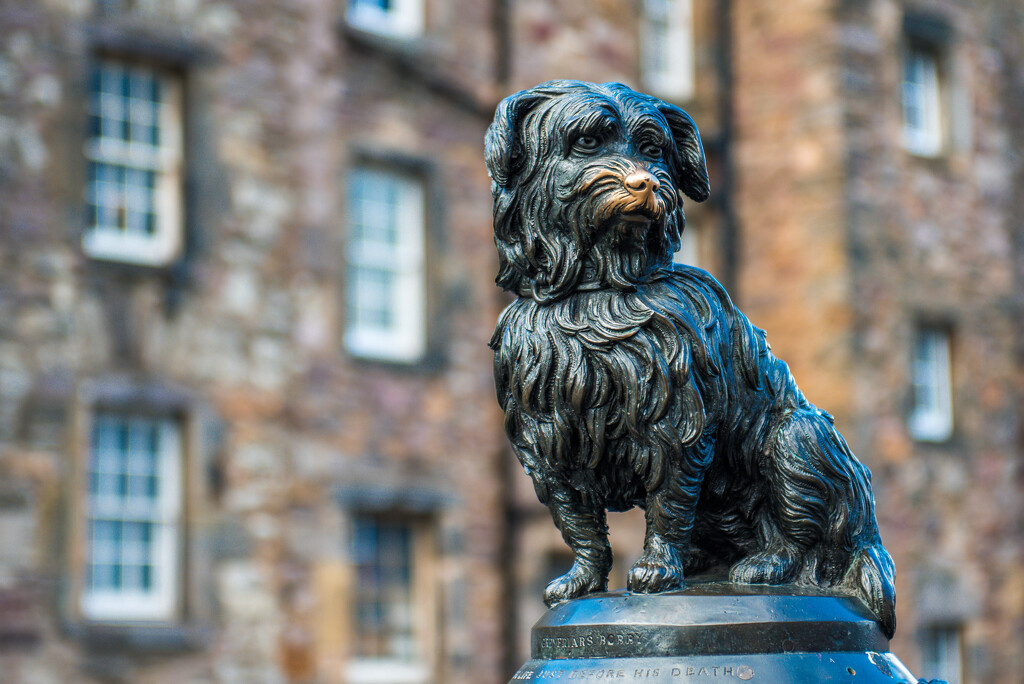 Greyfriars Bobby by kwind