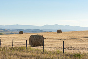 26th Sep 2022 - Bales in the Foothills
