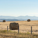 Bales in the Foothills by farmreporter