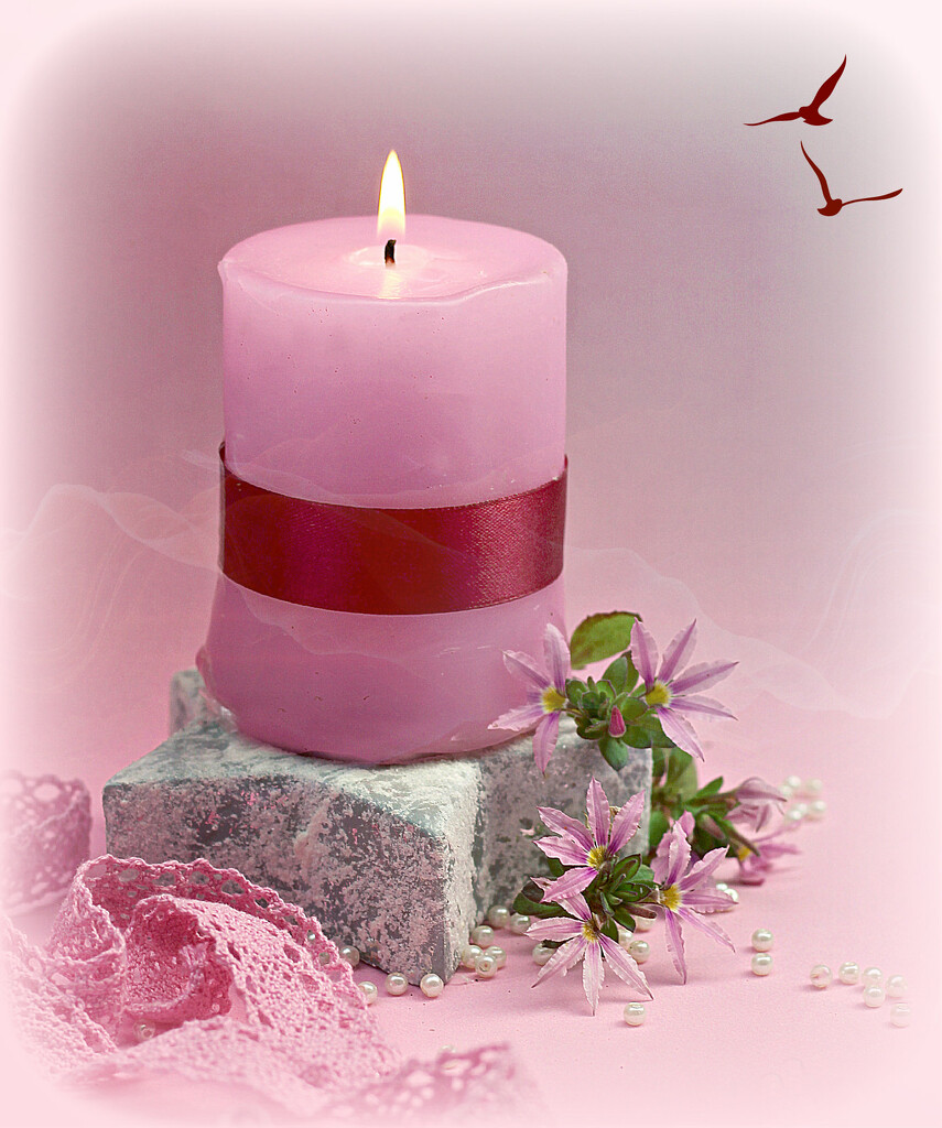 Pink  Candle  . by wendyfrost