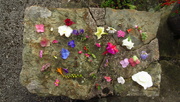 3rd Oct 2022 - flower grid time again!