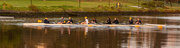 4th Oct 2022 - Rowing at dawn