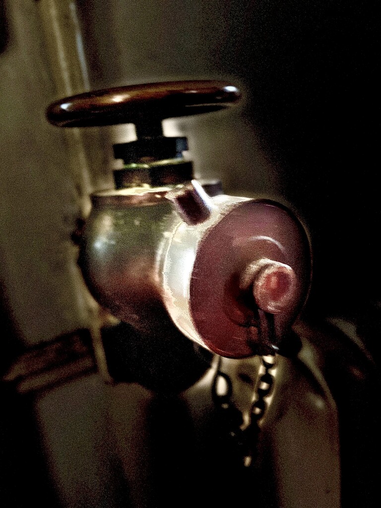 The lowly valve  by rensala