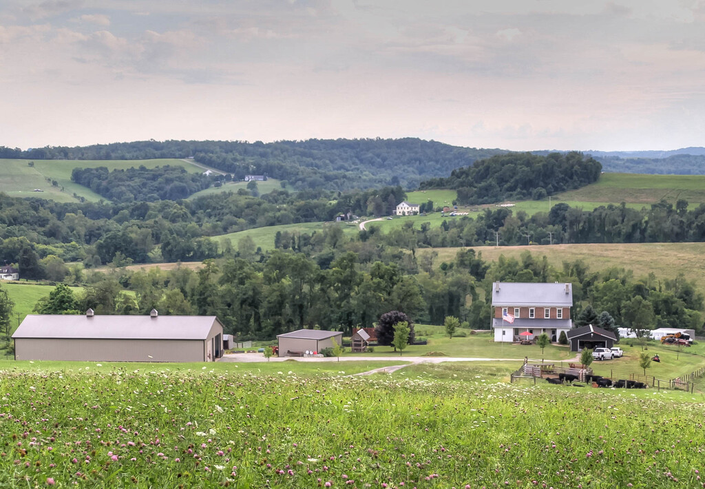 Rural living in Pennsylvania by mittens