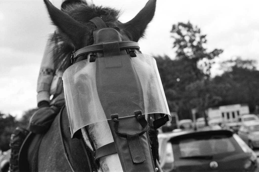 I shoot Film : Police Horse on Football Duty  by phil_howcroft