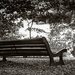 Vacant seat... by vignouse