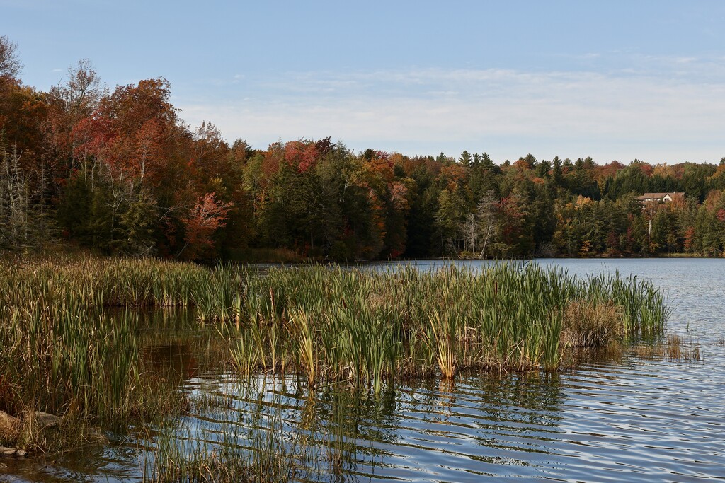 Pittsfield Pond by corinnec
