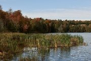 4th Oct 2022 - Pittsfield Pond