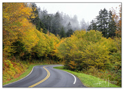 4th Oct 2022 - Smoky Mountains, Tennessee
