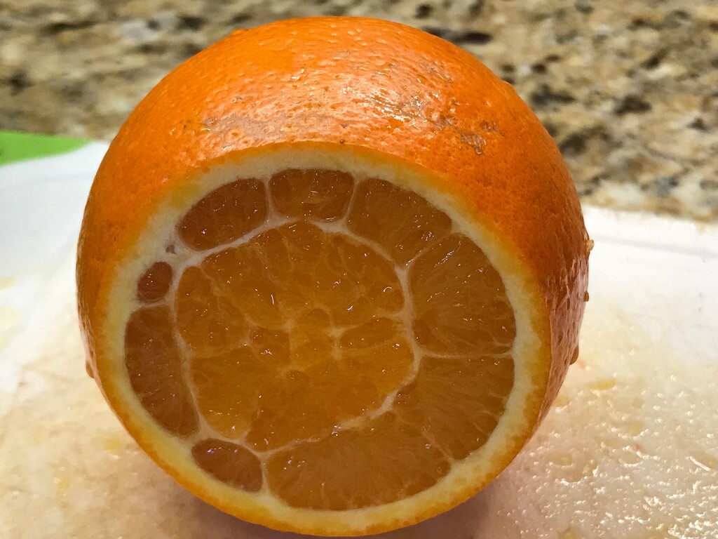 Orange You Surprised? by allie912