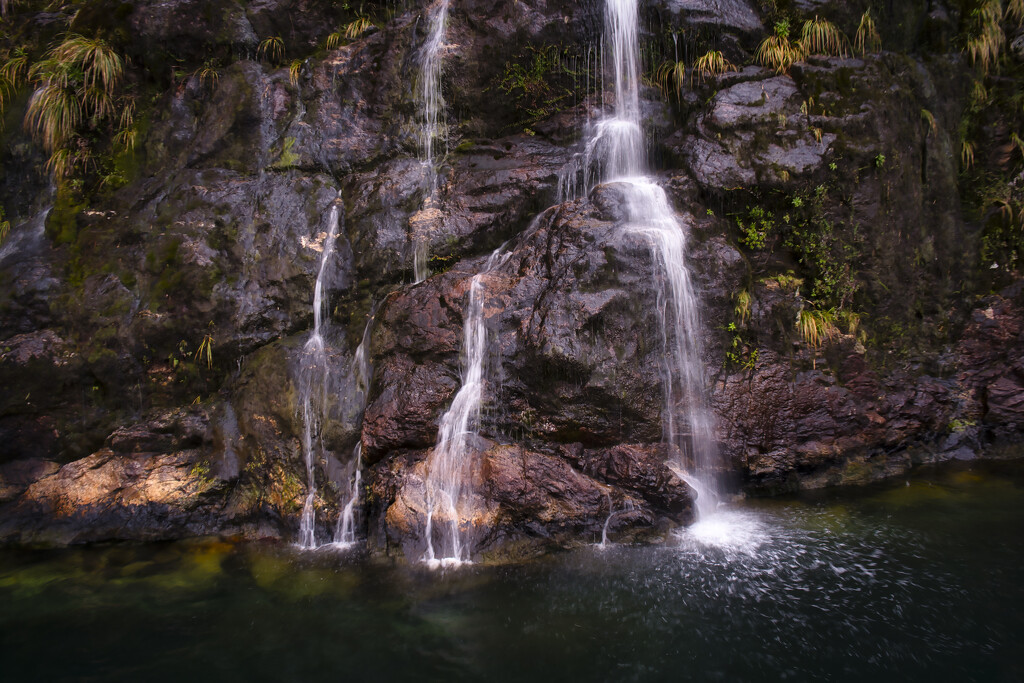 Doubtful Sound waterfall  by dkbarnett